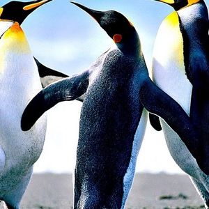 Meet your Posher, Natalia